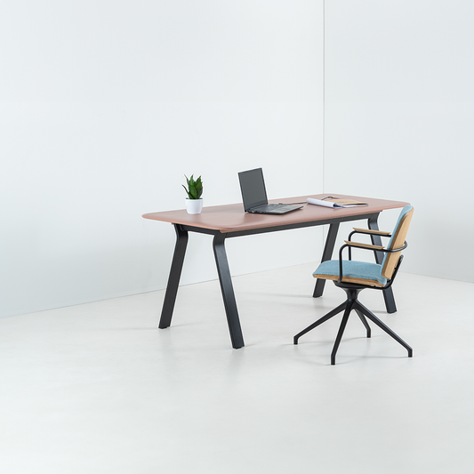 ALA Office - Arbeitstisch